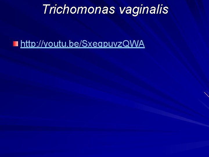 Trichomonas vaginalis http: //youtu. be/Sxeqpuvz. QWA 
