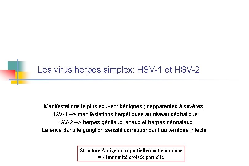 Les virus herpes simplex: HSV-1 et HSV-2 Virus largement répandus L’homme est le seul