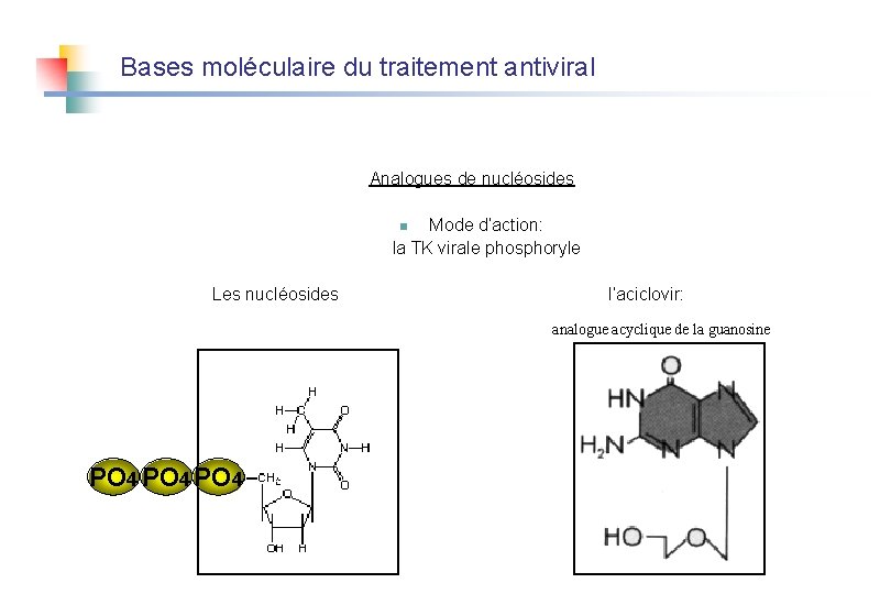 Bases moléculaire du traitement antiviral Analogues de nucléosides Mode d’action: la TK virale phosphoryle