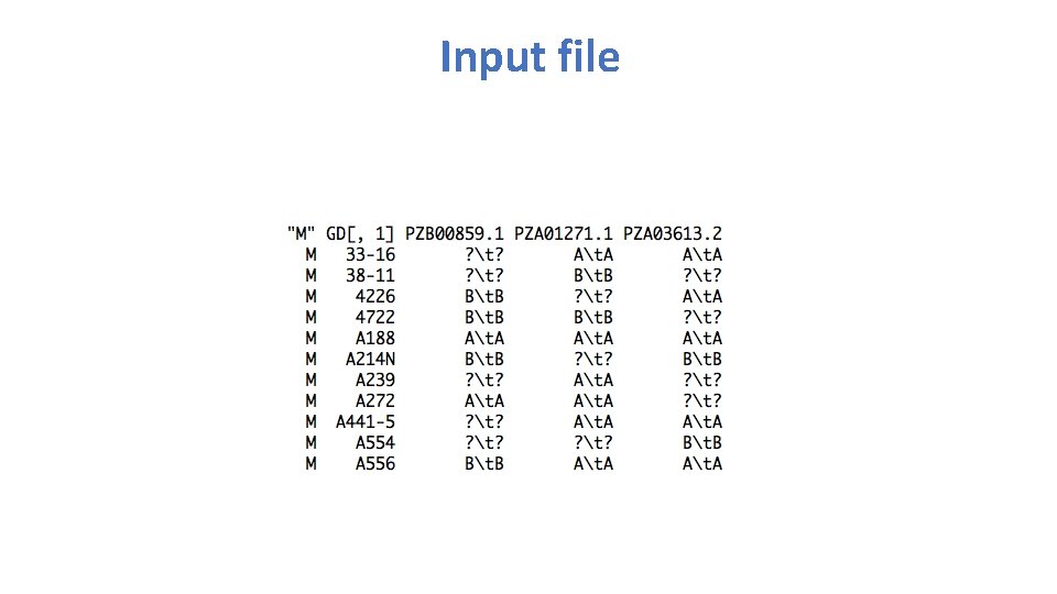 Input file 