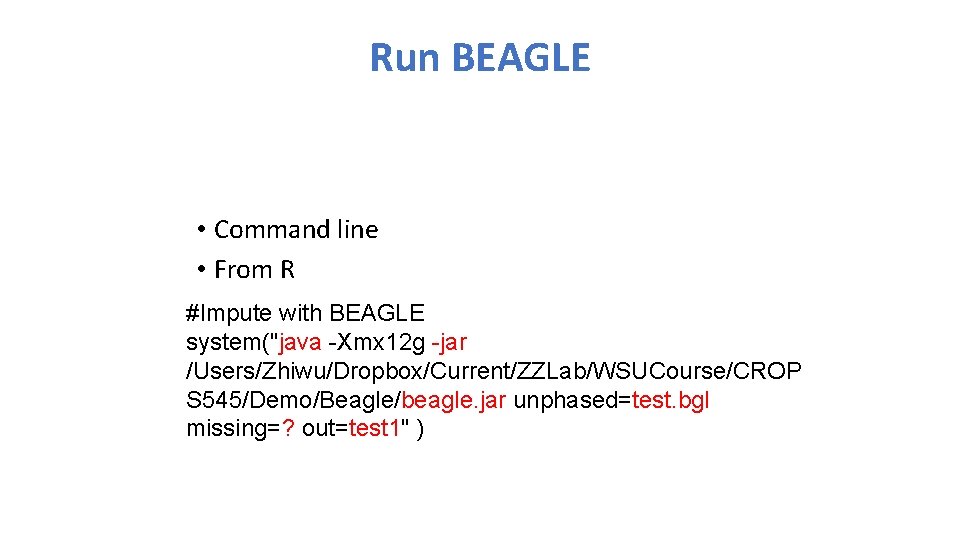 Run BEAGLE • Command line • From R #Impute with BEAGLE system("java -Xmx 12