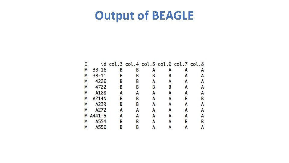 Output of BEAGLE 