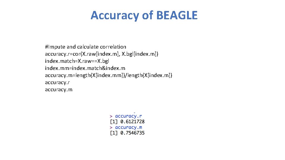 Accuracy of BEAGLE #Impute and calculate correlation accuracy. r=cor(X. raw[index. m], X. bgl[index. m])