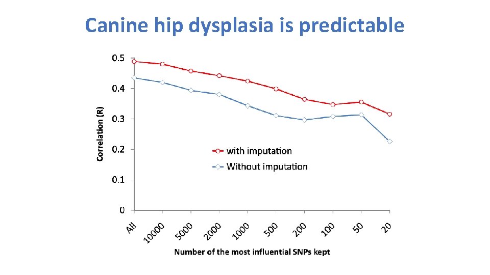Canine hip dysplasia is predictable 