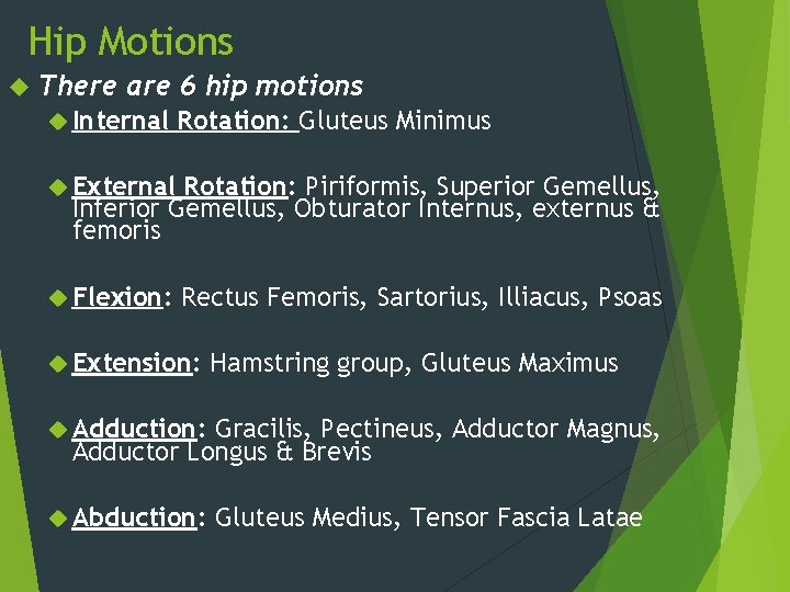 Hip Motions There are 6 hip motions Internal Rotation: Gluteus Minimus External Rotation: Piriformis,