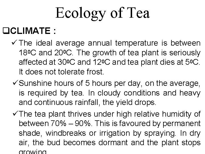 Ecology of Tea q. CLIMATE : ü The ideal average annual temperature is between