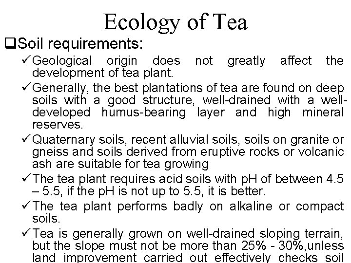 Ecology of Tea q. Soil requirements: ü Geological origin does not greatly affect the