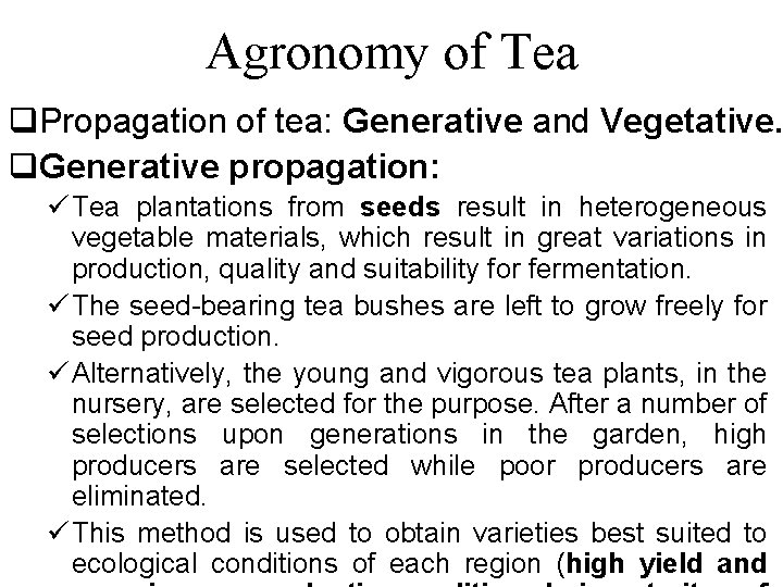Agronomy of Tea q. Propagation of tea: Generative and Vegetative. q. Generative propagation: ü