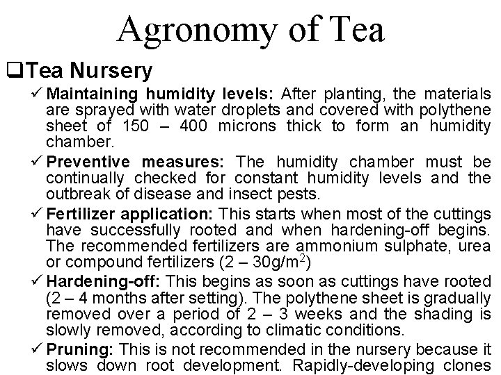 Agronomy of Tea q. Tea Nursery ü Maintaining humidity levels: After planting, the materials