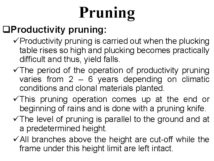 Pruning q. Productivity pruning: üProductivity pruning is carried out when the plucking table rises