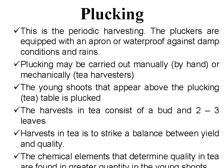 Plucking üThis is the periodic harvesting. The pluckers are equipped with an apron or