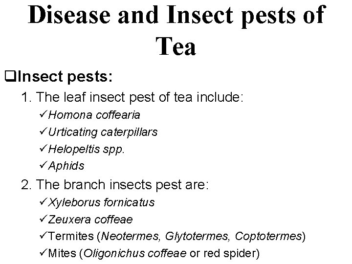 Disease and Insect pests of Tea q. Insect pests: 1. The leaf insect pest