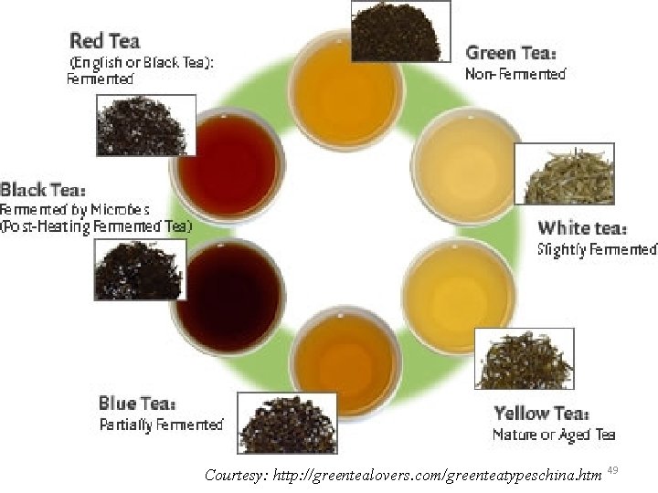 Courtesy: http: //greentealovers. com/greenteatypeschina. htm 49 