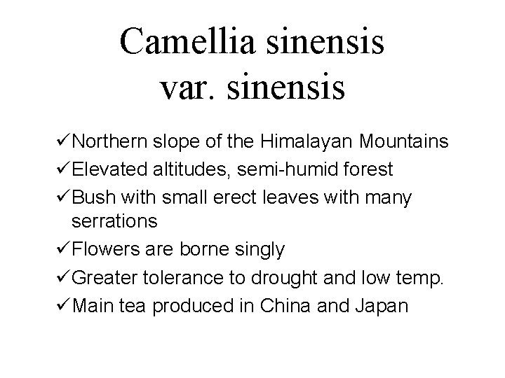 Camellia sinensis var. sinensis üNorthern slope of the Himalayan Mountains üElevated altitudes, semi-humid forest