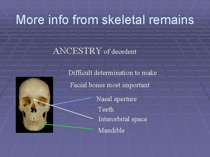 More info from skeletal remains ANCESTRY of decedent Difficult determination to make Facial bones