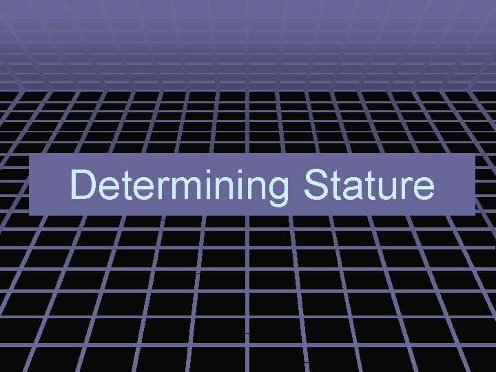 Determining Stature 