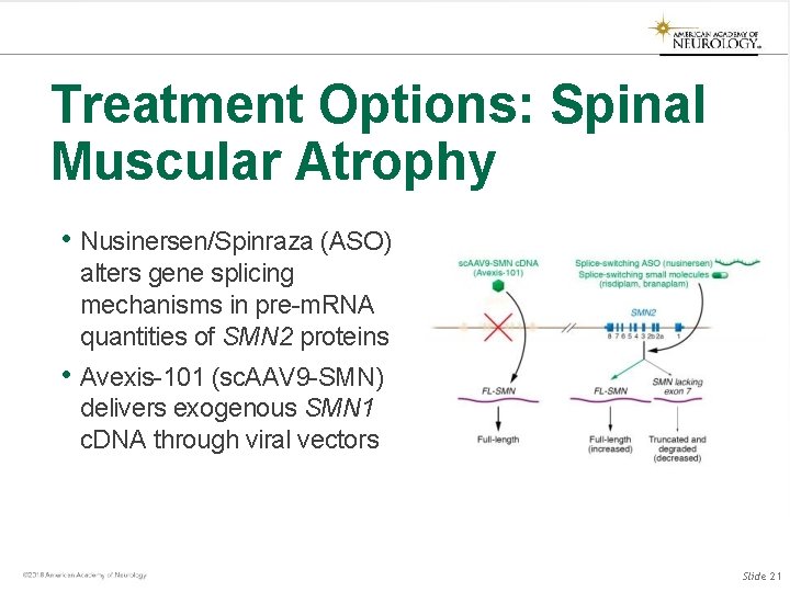 Treatment Options: Spinal Muscular Atrophy • Nusinersen/Spinraza (ASO) alters gene splicing mechanisms in pre-m. Treatment Options: Spinal Muscular Atrophy • Nusinersen/Spinraza (ASO) alters gene splicing mechanisms in pre-m.