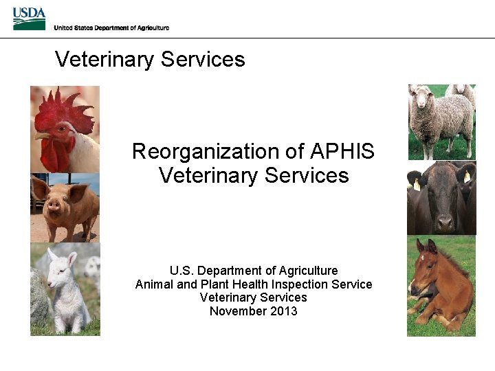 Veterinary Services Reorganization of APHIS Veterinary Services U. S. Department of Agriculture Animal and