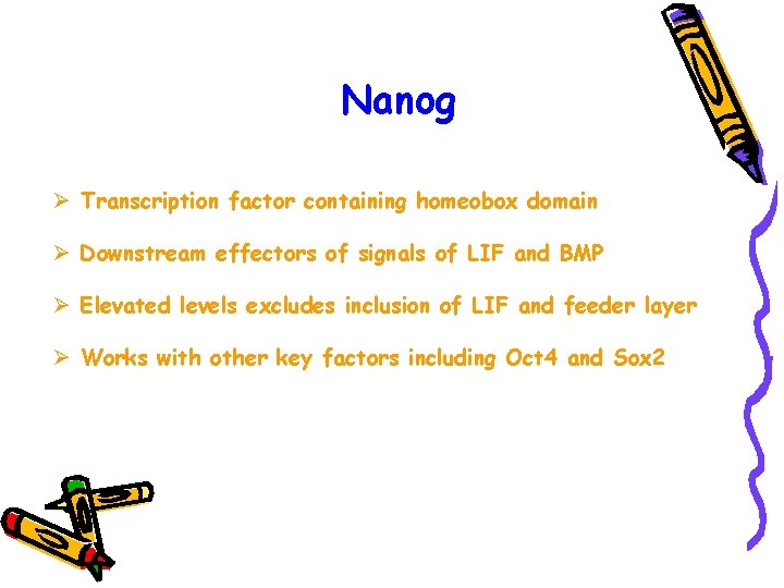 Nanog Ø Transcription factor containing homeobox domain Ø Downstream effectors of signals of LIF