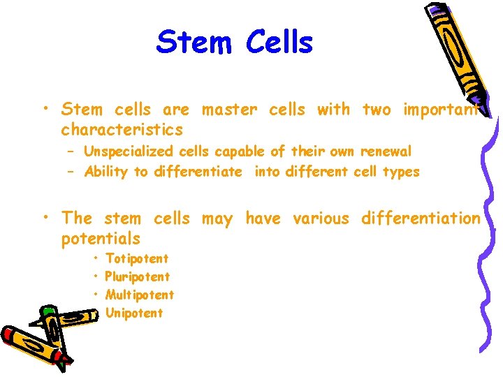 Stem Cells • Stem cells are master cells with two important characteristics – Unspecialized
