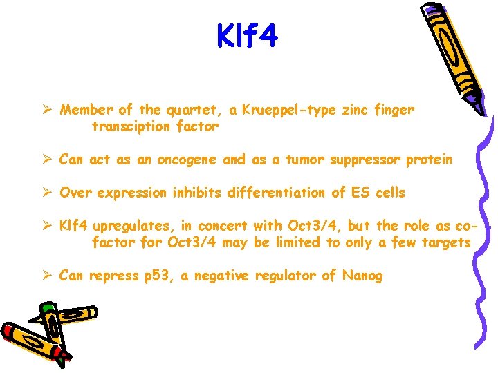 Klf 4 Ø Member of the quartet, a Krueppel-type zinc finger transciption factor Ø