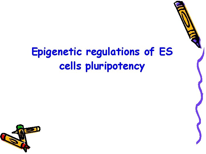 Epigenetic regulations of ES cells pluripotency 