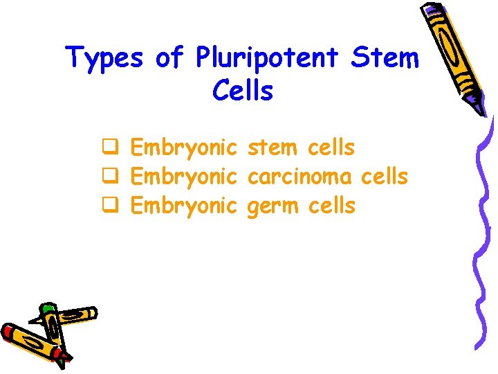 Types of Pluripotent Stem Cells q Embryonic stem cells q Embryonic carcinoma cells q