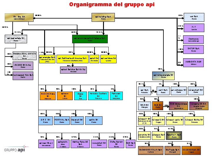 Organigramma del gruppo api Fin. Bra. SA 99, 98% 100% api holding Sp. A