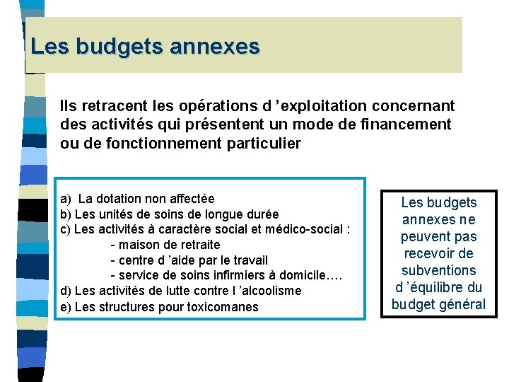 Les budgets annexes Ils retracent les opérations d ’exploitation concernant des activités qui présentent Les budgets annexes Ils retracent les opérations d ’exploitation concernant des activités qui présentent