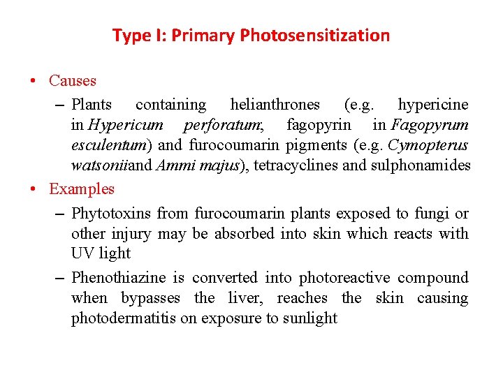 Type I: Primary Photosensitization • Causes – Plants containing helianthrones (e. g. hypericine in