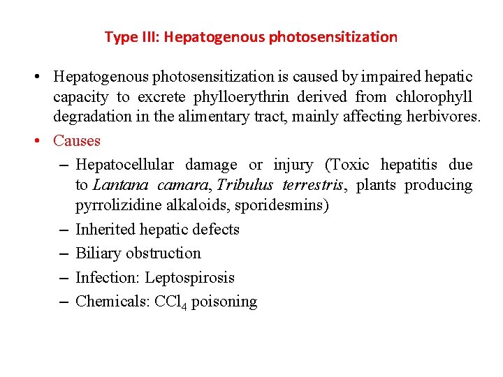 Type III: Hepatogenous photosensitization • Hepatogenous photosensitization is caused by impaired hepatic capacity to