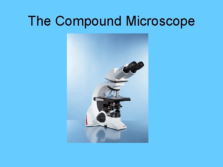 The Compound Microscope 