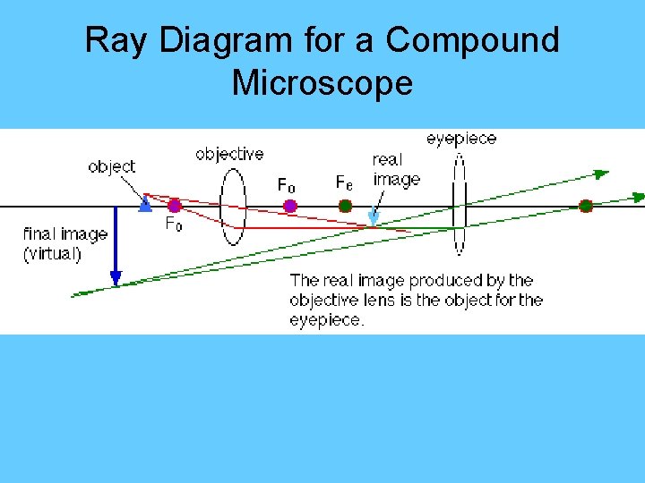 Ray Diagram for a Compound Microscope 