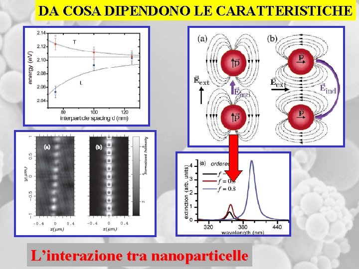 DA COSA DIPENDONO LE CARATTERISTICHE L’interazione tra nanoparticelle 