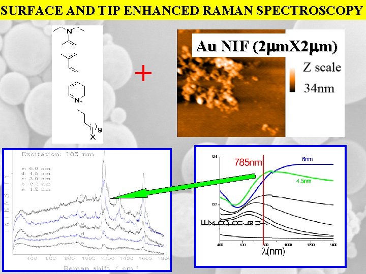 SURFACE AND TIP ENHANCED RAMAN SPECTROSCOPY Au NIF (2 mm. X 2 mm) +
