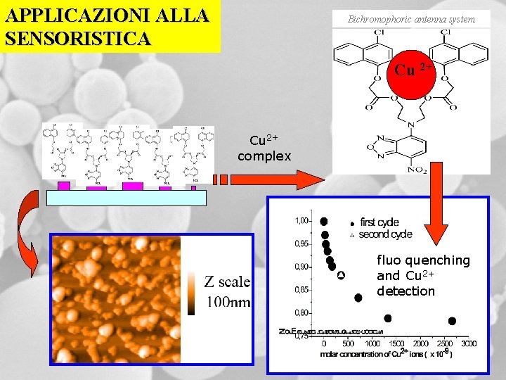 APPLICAZIONI ALLA SENSORISTICA Bichromophoric antenna system Cu 2+ complex fluo quenching and Cu 2+