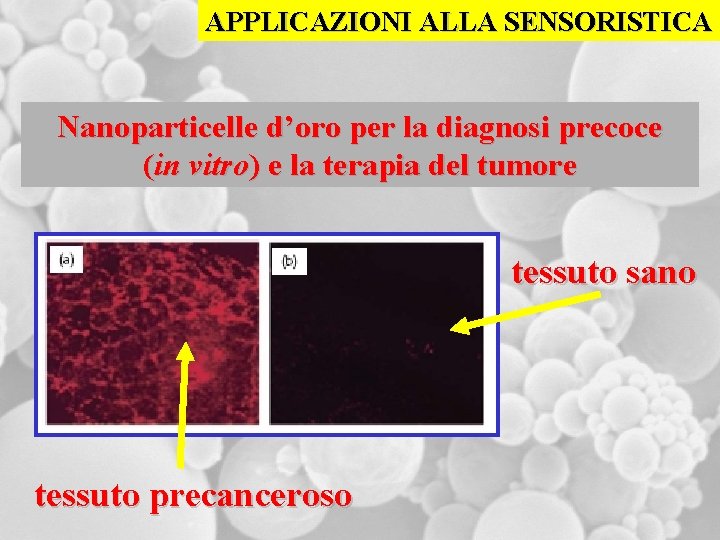 APPLICAZIONI ALLA SENSORISTICA Nanoparticelle d’oro per la diagnosi precoce (in vitro) e la terapia