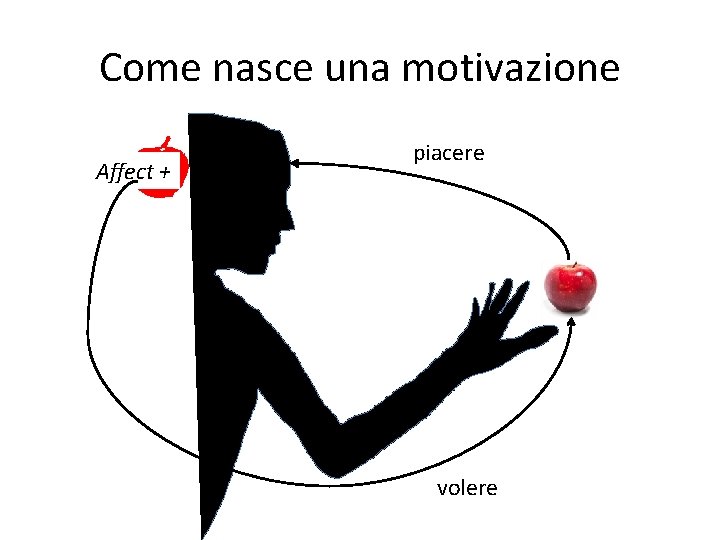 Come nasce una motivazione Affect + piacere volere 