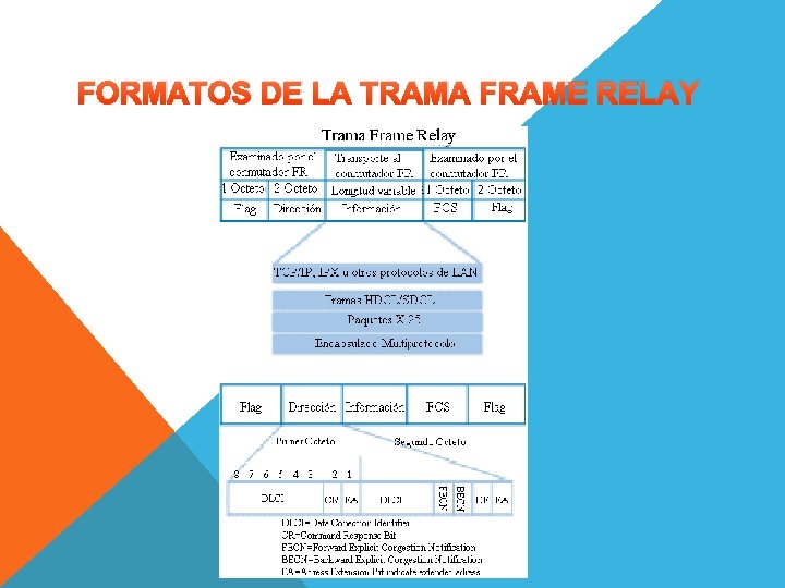 FORMATOS DE LA TRAMA FRAME RELAY 