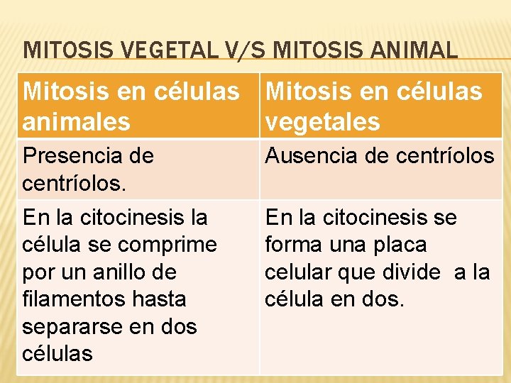 MITOSIS VEGETAL V/S MITOSIS ANIMAL Mitosis en células animales vegetales Presencia de centríolos. Ausencia