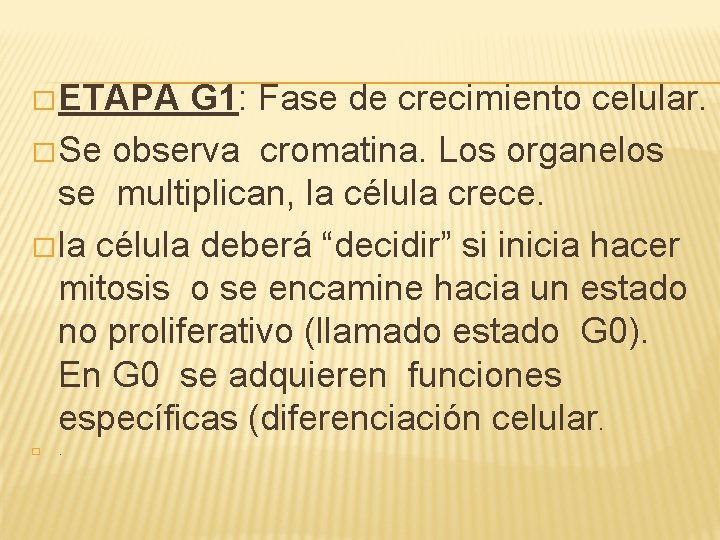 � ETAPA G 1: Fase de crecimiento celular. � Se observa cromatina. Los organelos