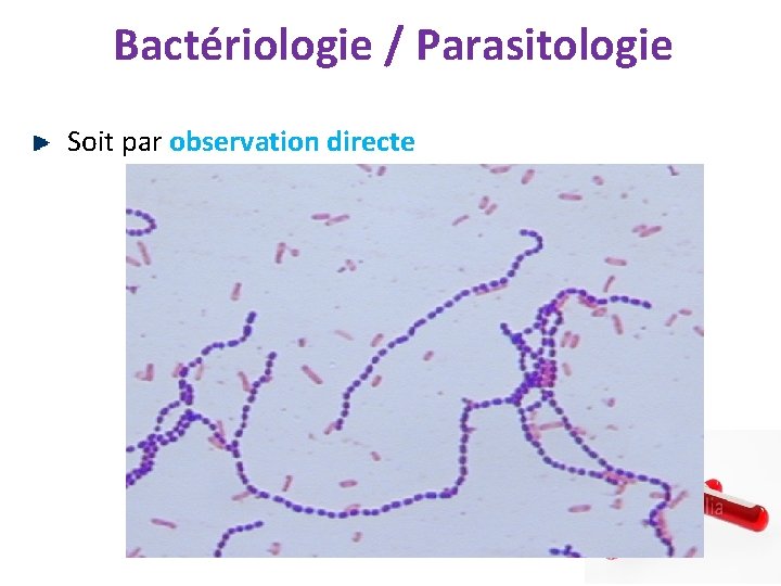 Bactériologie / Parasitologie Soit par observation directe 