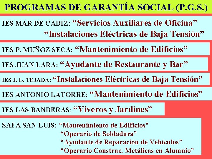 PROGRAMAS DE GARANTÍA SOCIAL (P. G. S. ) IES MAR DE CÁDIZ: “Servicios Auxiliares