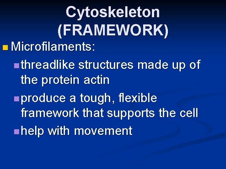 Cytoskeleton (FRAMEWORK) n Microfilaments: n threadlike structures made up of the protein actin n