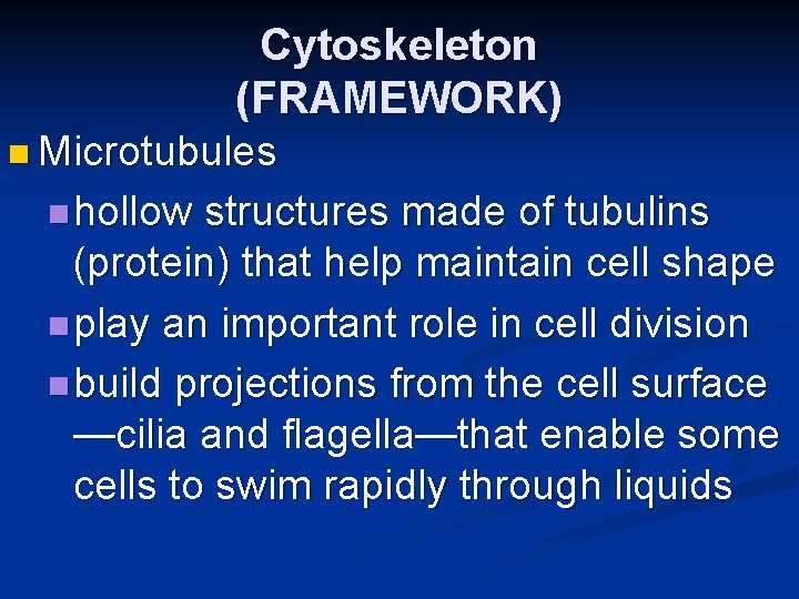 Cytoskeleton (FRAMEWORK) n Microtubules n hollow structures made of tubulins (protein) that help maintain