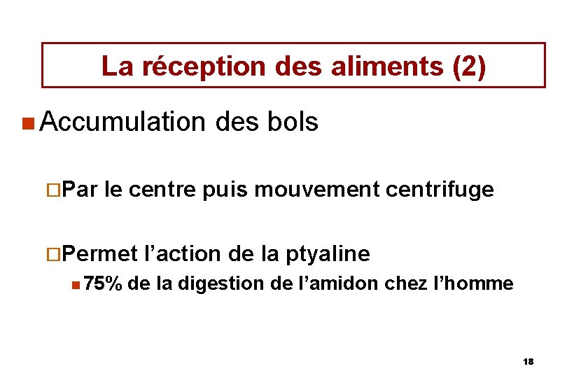 La réception des aliments (2) n Accumulation ¨Par des bols le centre puis mouvement