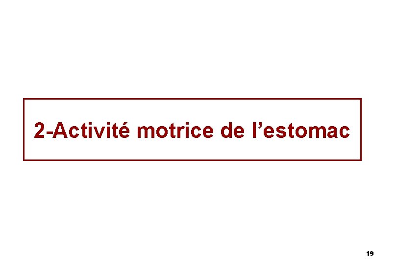 2 -Activité motrice de l’estomac 19 