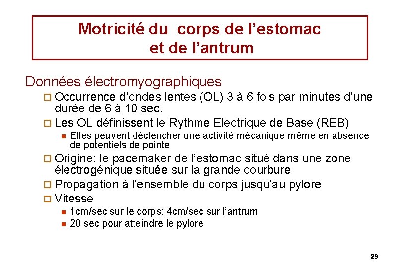 Motricité du corps de l’estomac et de l’antrum Données électromyographiques ¨ Occurrence d’ondes lentes