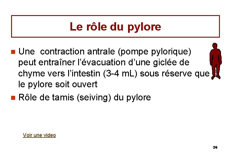 Le rôle du pylore Une contraction antrale (pompe pylorique) peut entraîner l’évacuation d’une giclée