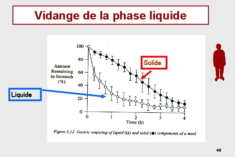 Vidange de la phase liquide Solide Liquide 42 